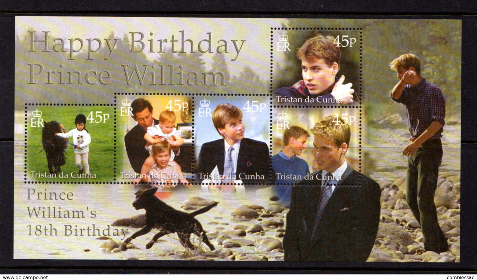 TRISTAN  DA  CUNHA    2000    18th  Birthday  Of  Prince  William   Sheetlet    MNH - Tristan Da Cunha