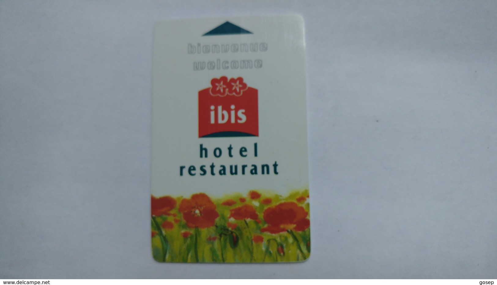 Hotey Key-(535)-ibis-hotal-(looking Out Side)-used+1card Prepiad Free - Cartes D'hotel