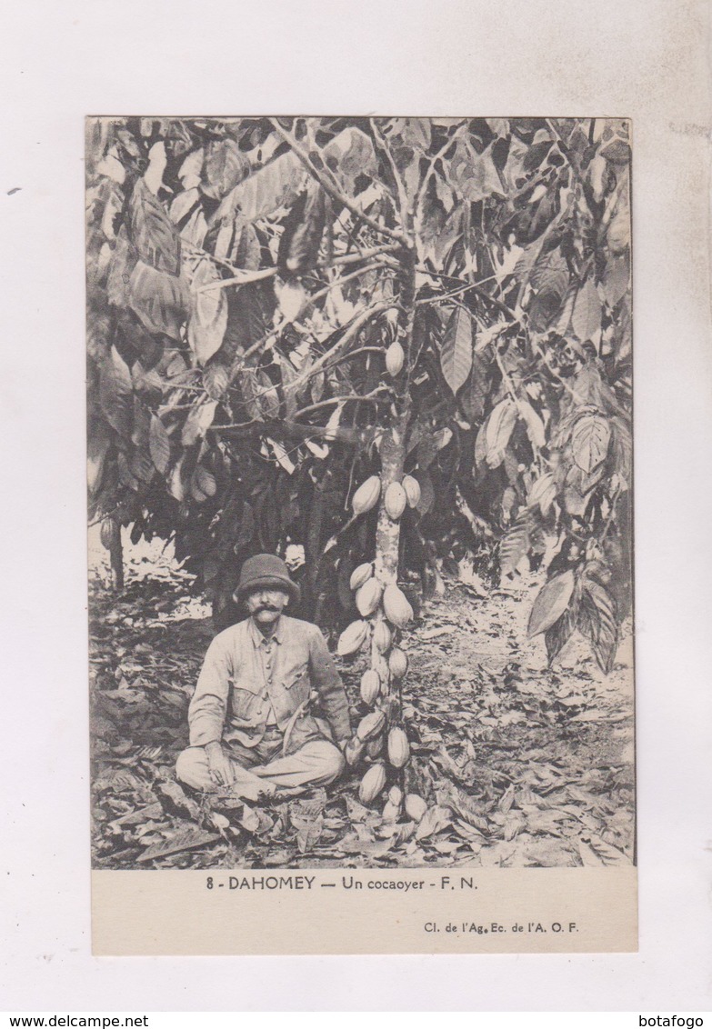 CPA DAHOMEY, UN CACAOYER - Dahomey