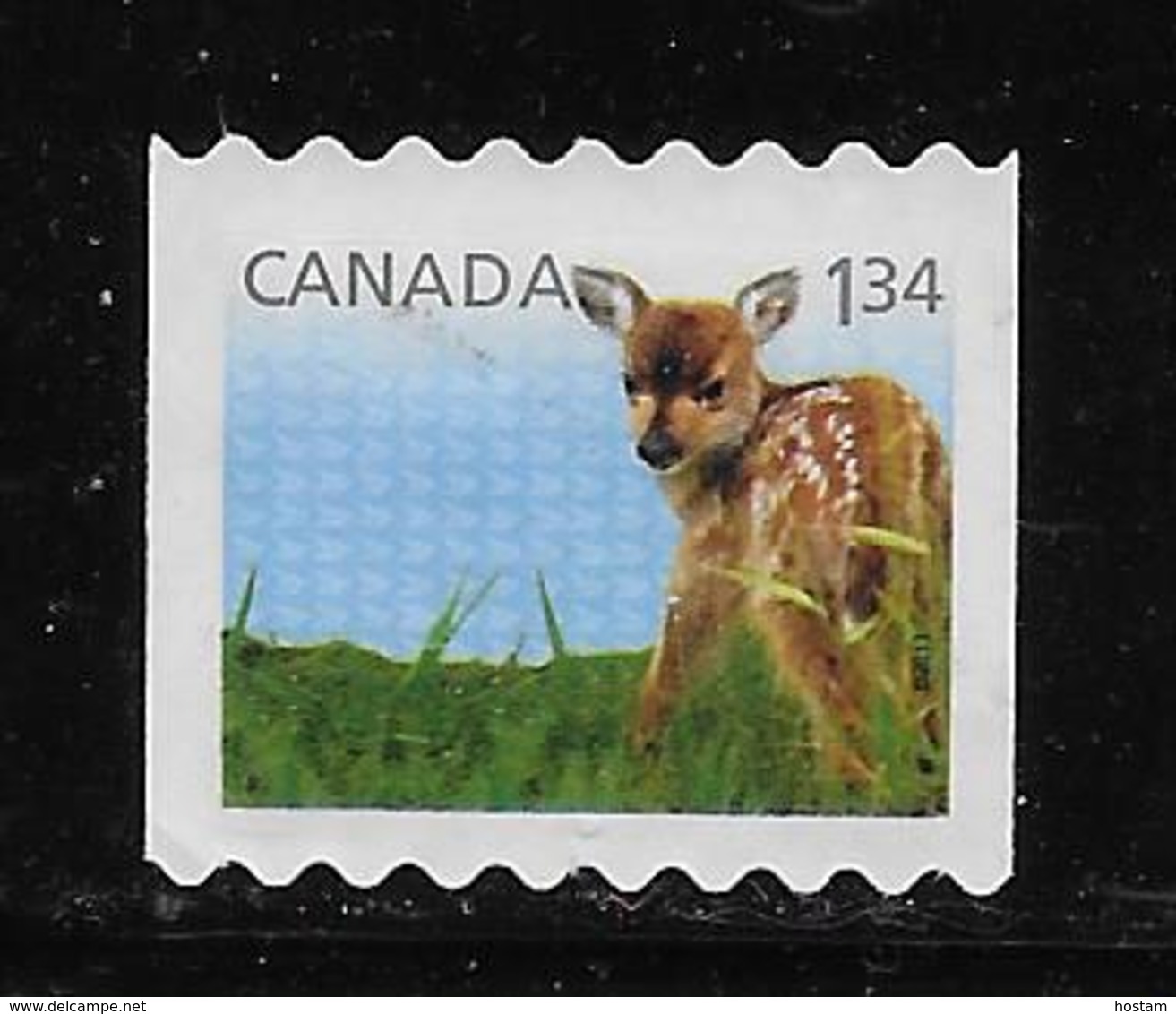 CANADA 2013, USED # 2609, BABY WILDLIFE   FAWN, USED - Timbres Seuls