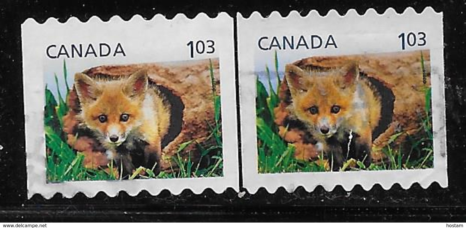 CANADA 2011, USED  # 2427& 2430,  DEFINITIVES: BABY WILDLIFE: RED FOX, - Rollen