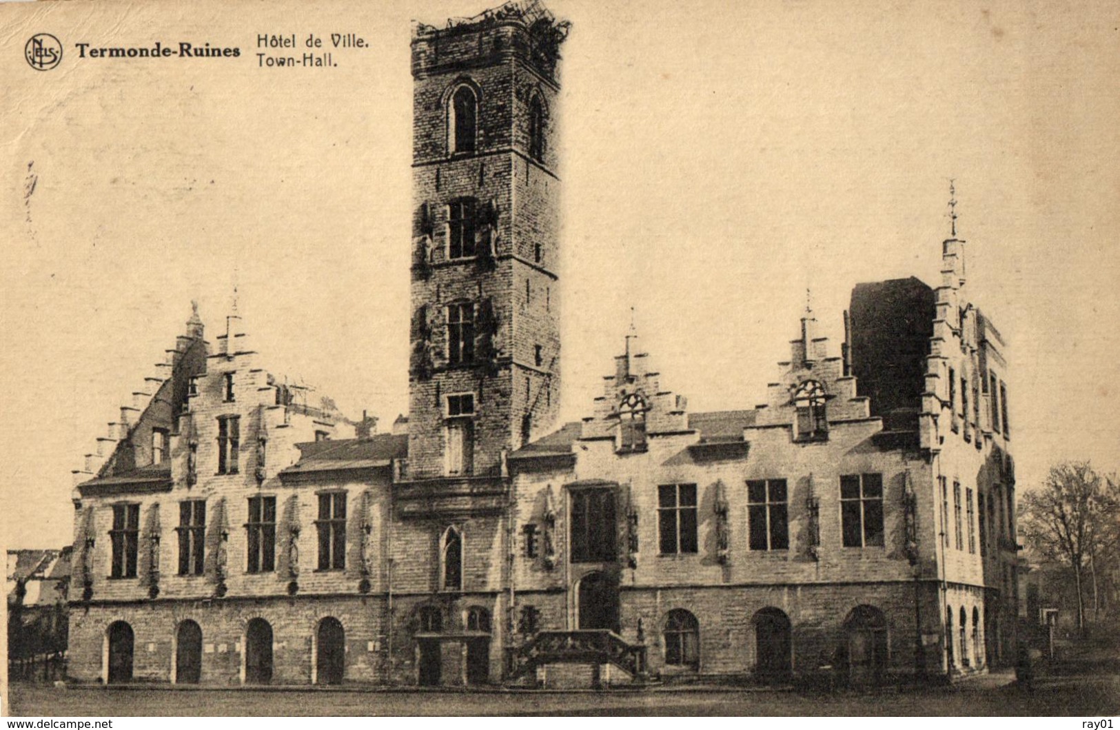 BELGIQUE - FLANDRE ORIENTALE - TERMONDE - DENDERMONDE - (Ruines) - Hôtel De Ville (Stadhuis). - Dendermonde