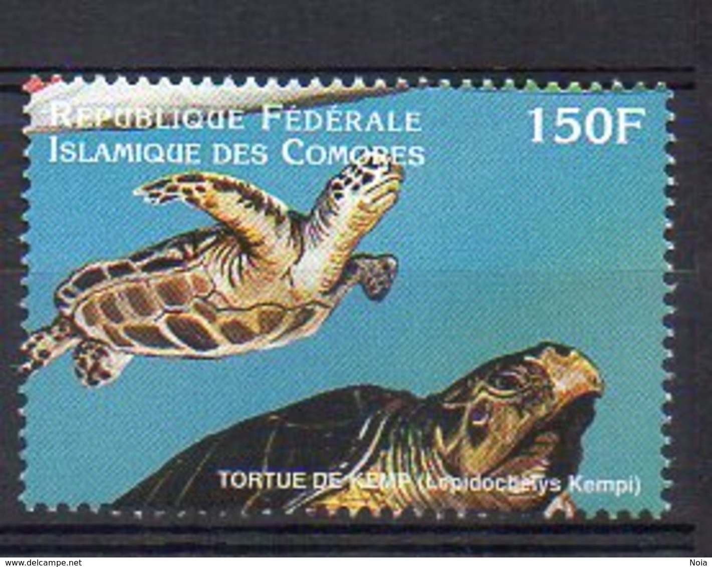 COMORES. MARINE LIFE. MNH (2R1332) - Mundo Aquatico