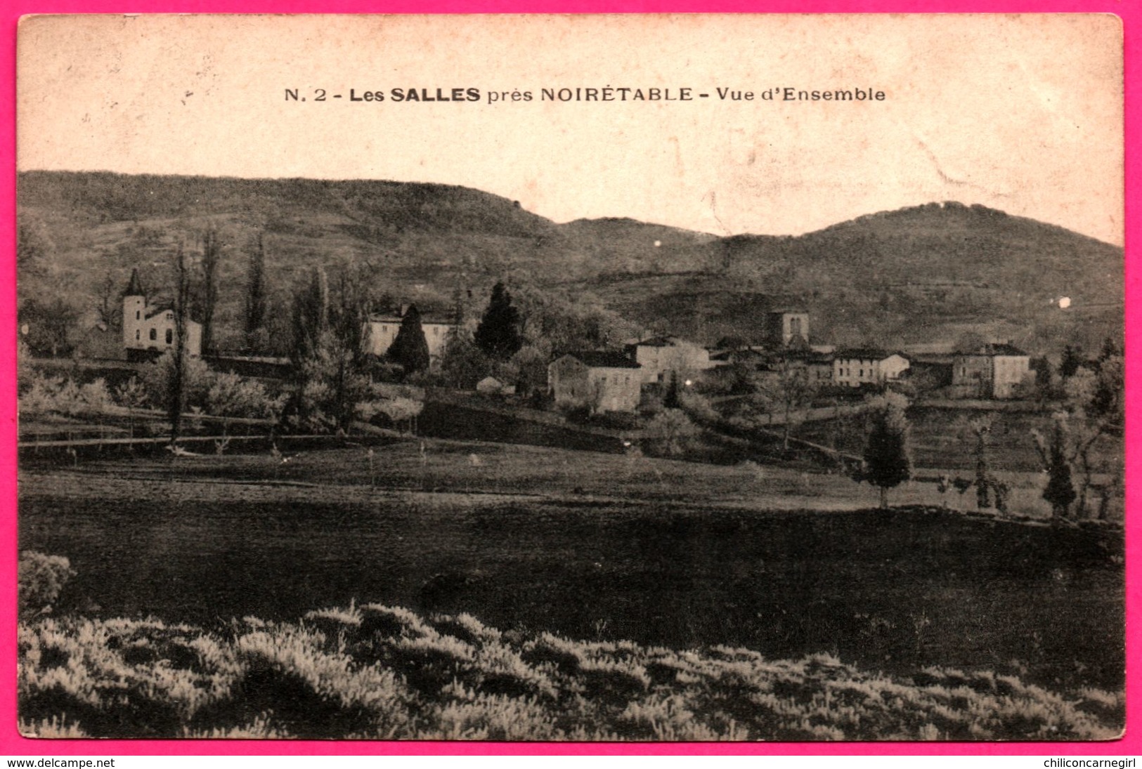 Les Salles Près Noirétable - Vue D'Ensemble - 1905 - Oblit. Convoyeur X3 St Etienne - Noiretable