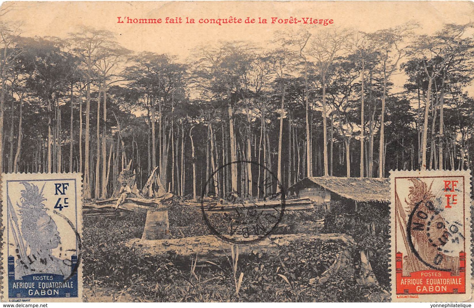 Gabon / Topo - Belle Oblitération - 48 - L'homme Fait La Conquête De La Forêt Vierge - Gabon