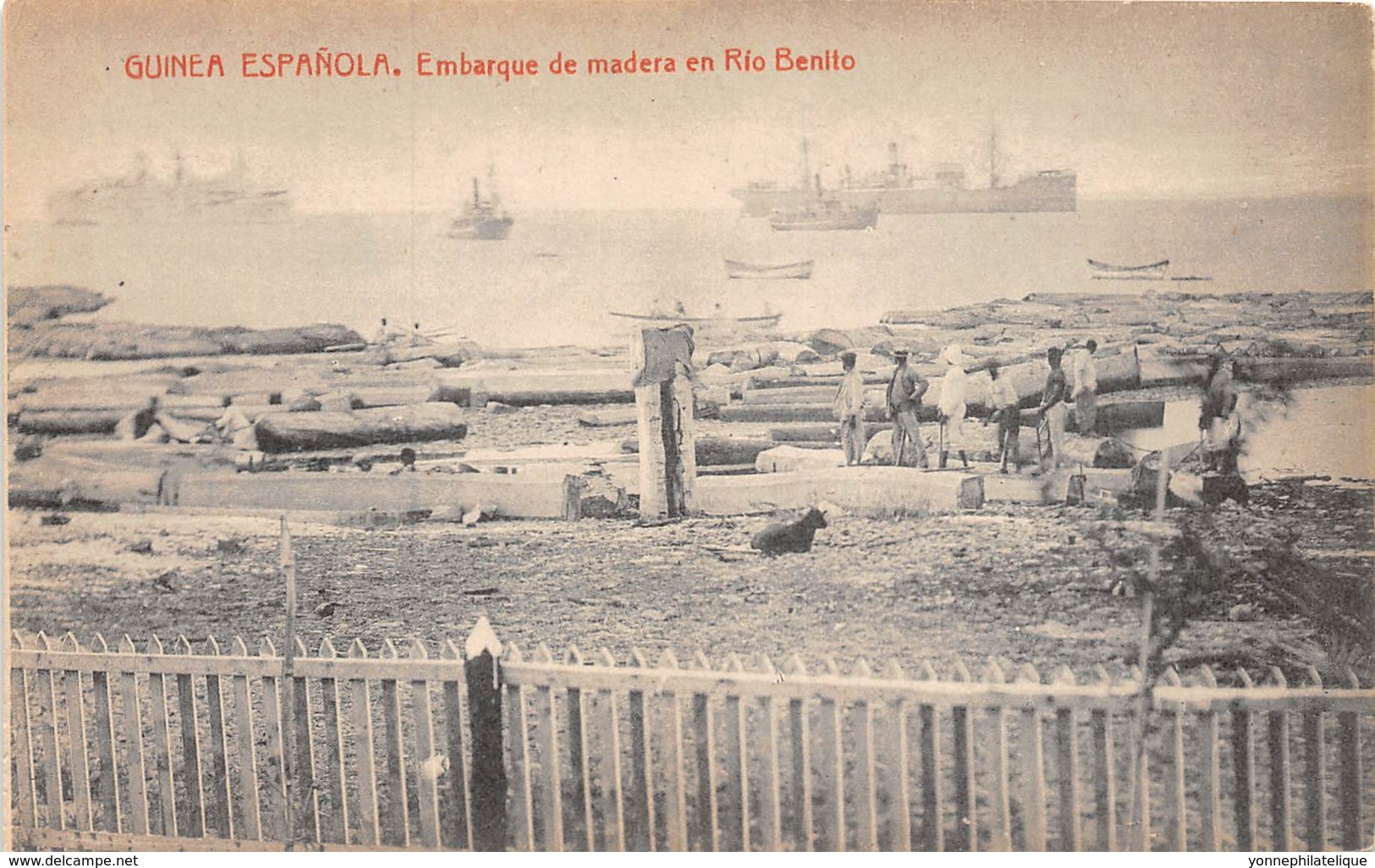 Guinée Espagnole / 08 - Embarque De Madera En Rio Benito - Guinée