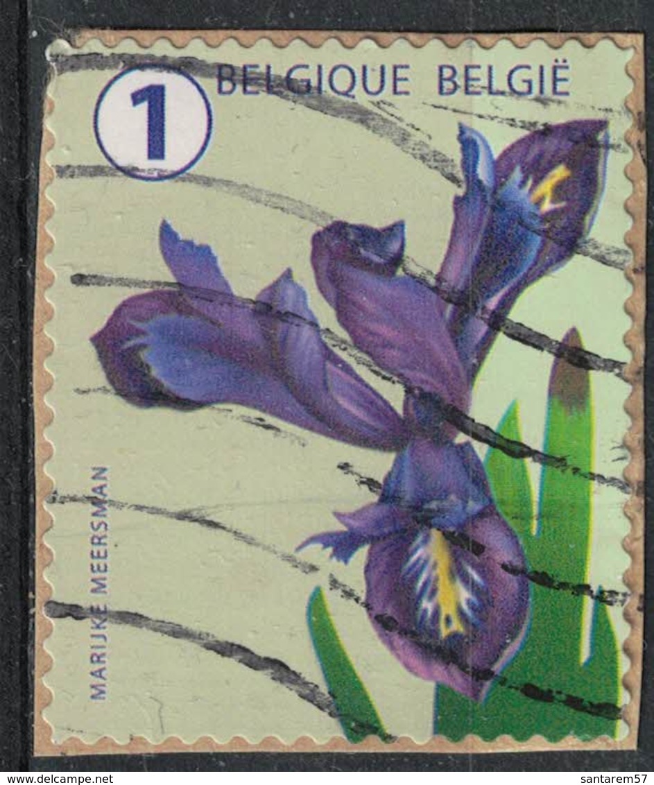 Belgique 2016 Oblitéré Used Flower Fleur Iris SU - Oblitérés