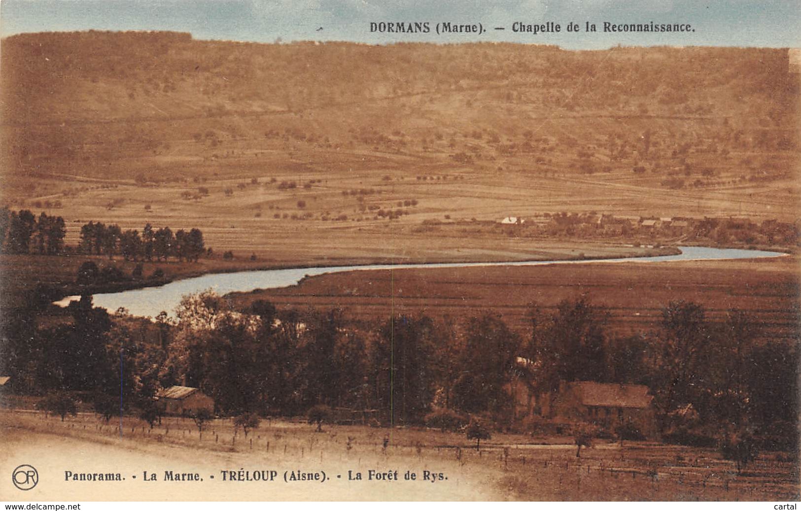 02 - TRELOUP - Panorama - La Forêt De Rys - Autres & Non Classés