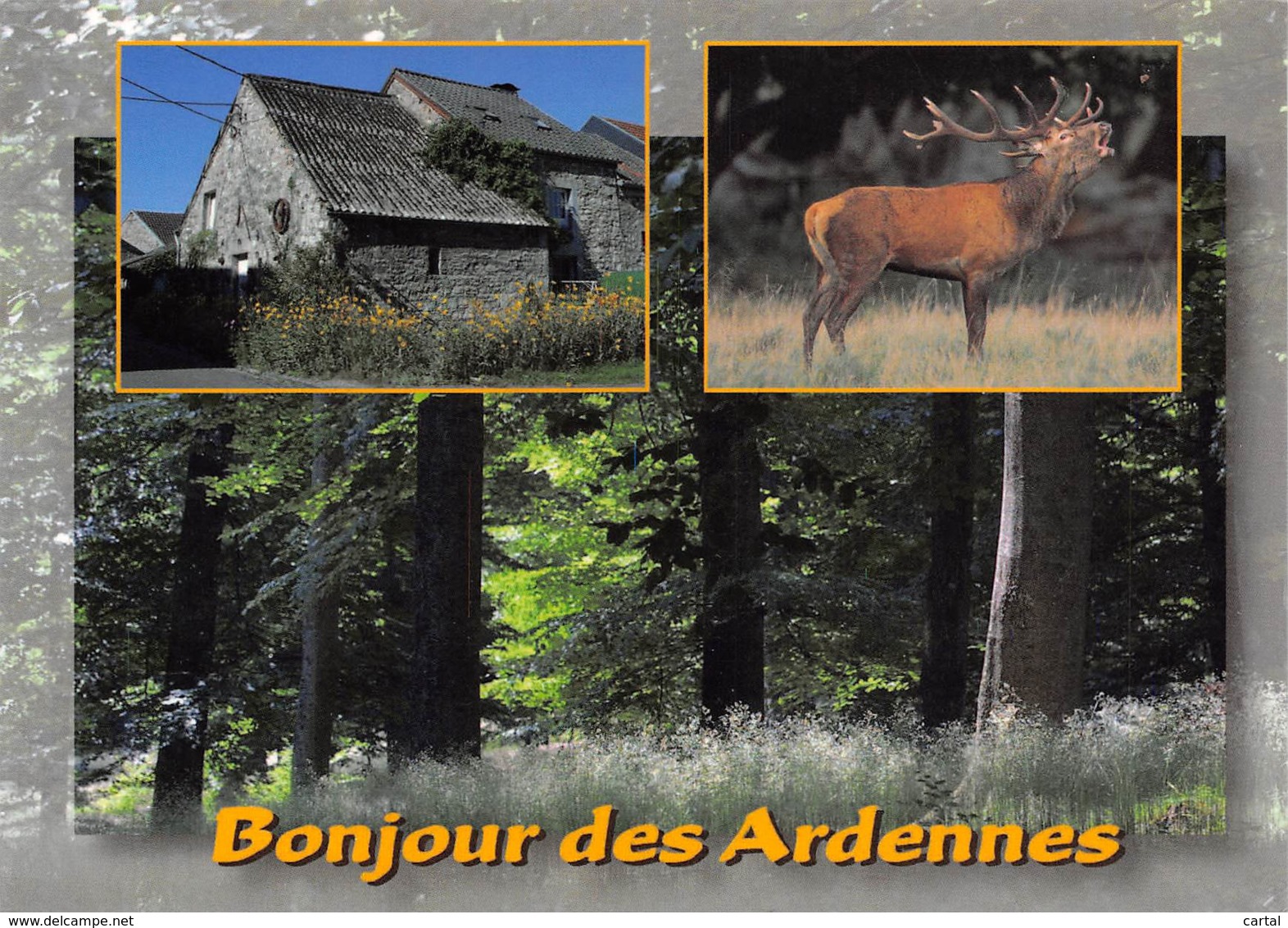 CPM - Bonjour Des Ardennes - Autres & Non Classés