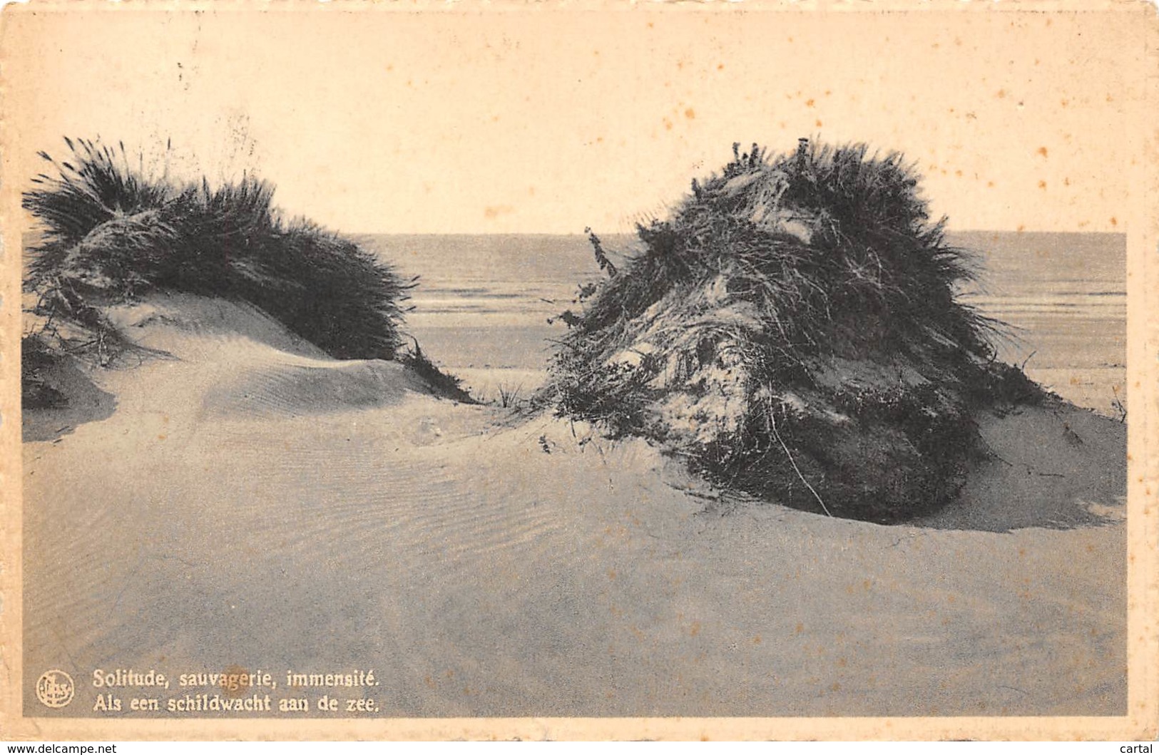 ST-IDESBALD A/Zee - Als Een Schildwacht Aan De Zee - Koksijde