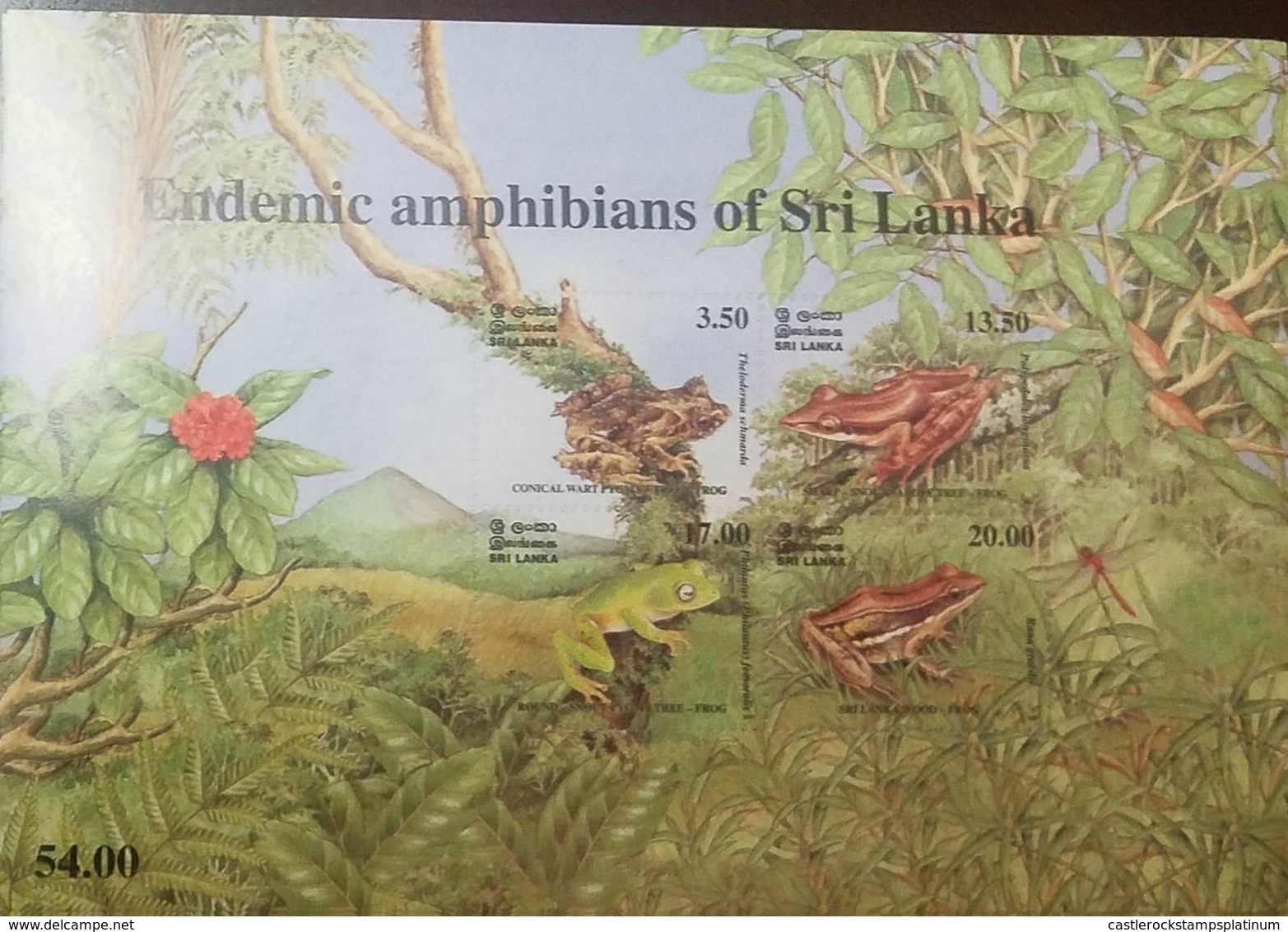 O) 2001 SRI LANKA, ENDEMIC FROGS - CONICAL WART-SHARP SNOUT SADDLE-ROUND SNOUT-WOOD FROG, MNH - Sri Lanka (Ceylon) (1948-...)