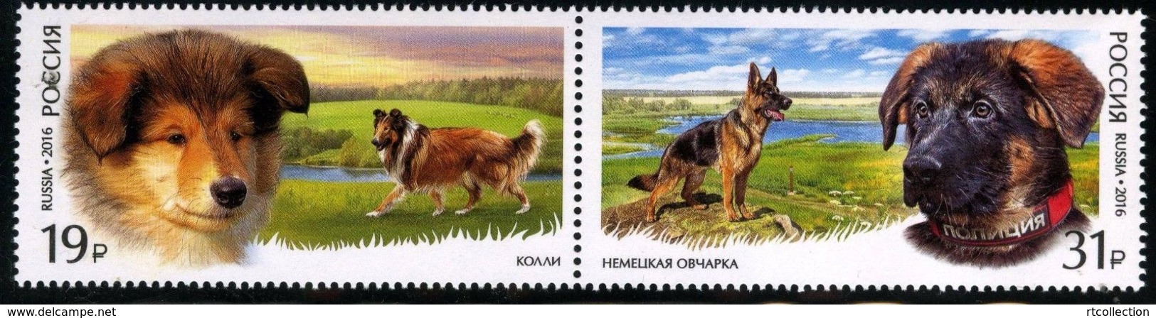 Russia 2016 Pair World Dog Show Moscow Dogs Animals Fauna Mammals German Scottish Shepherd Colli Breed Farm Stamps MNH - Dogs