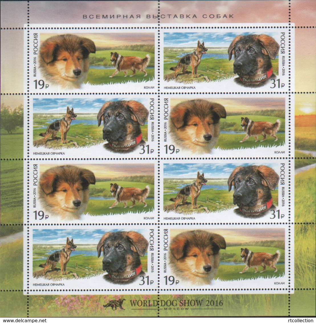 Russia 2016 Sheet World Dog Show Moscow Dogs Animals Fauna Mammals German Scottish Shepherd Colli Farm Stamps MNH - Blocks & Sheetlets & Panes