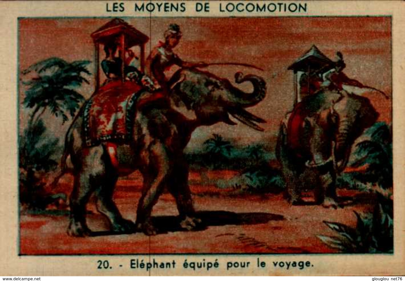 IMAGE...LES MOYENS DE LOCOMOTIONS...ELEPHANT EQUIPE POUR LE VOYAGE - Autres & Non Classés