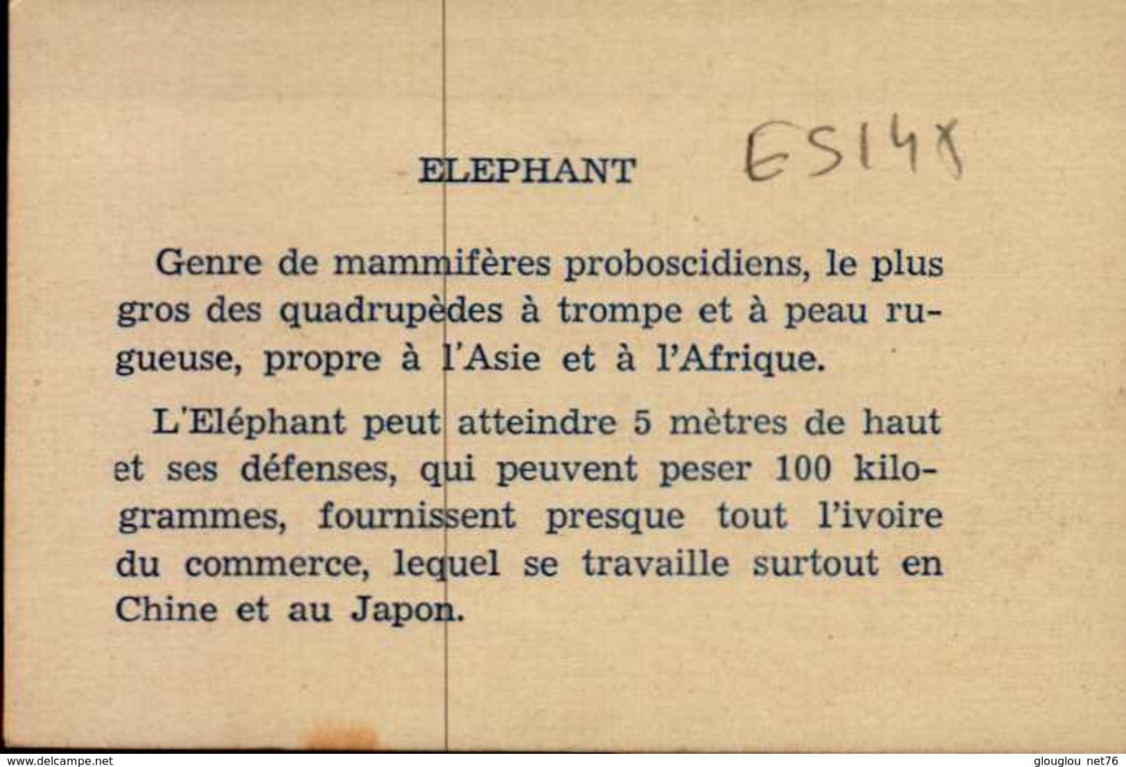 IMAGE...LES MOYENS DE LOCOMOTIONS...ELEPHANT EQUIPE POUR LE VOYAGE - Autres & Non Classés
