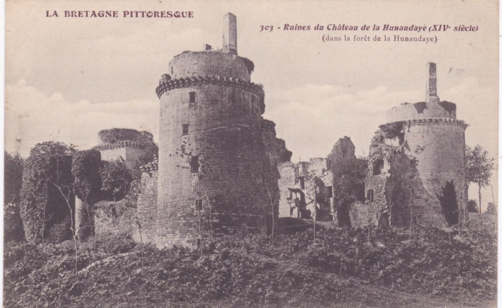 22 Côtes D'Armor - PLEDELIAC - Ruines Du Château De La Hunaudaye XIVe Siècle - Autres & Non Classés