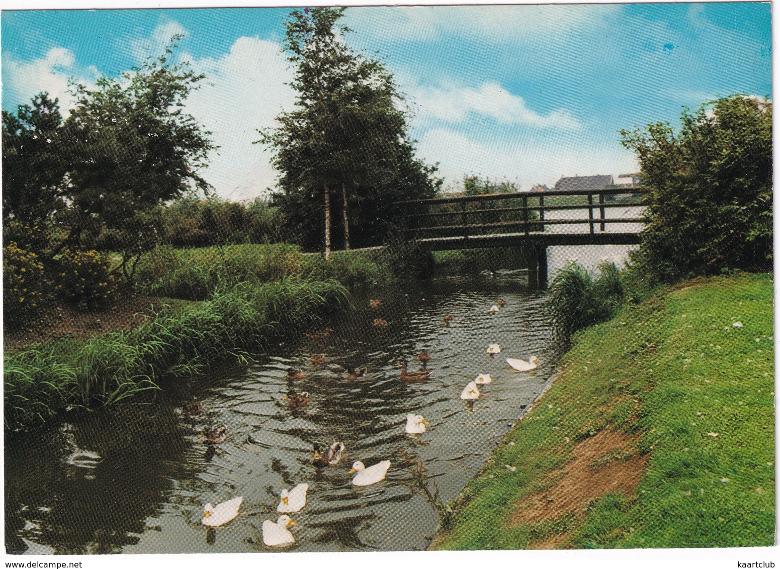 Heerjansdam - Waalpad -  (Zuid-Holland) - Zwijndrecht