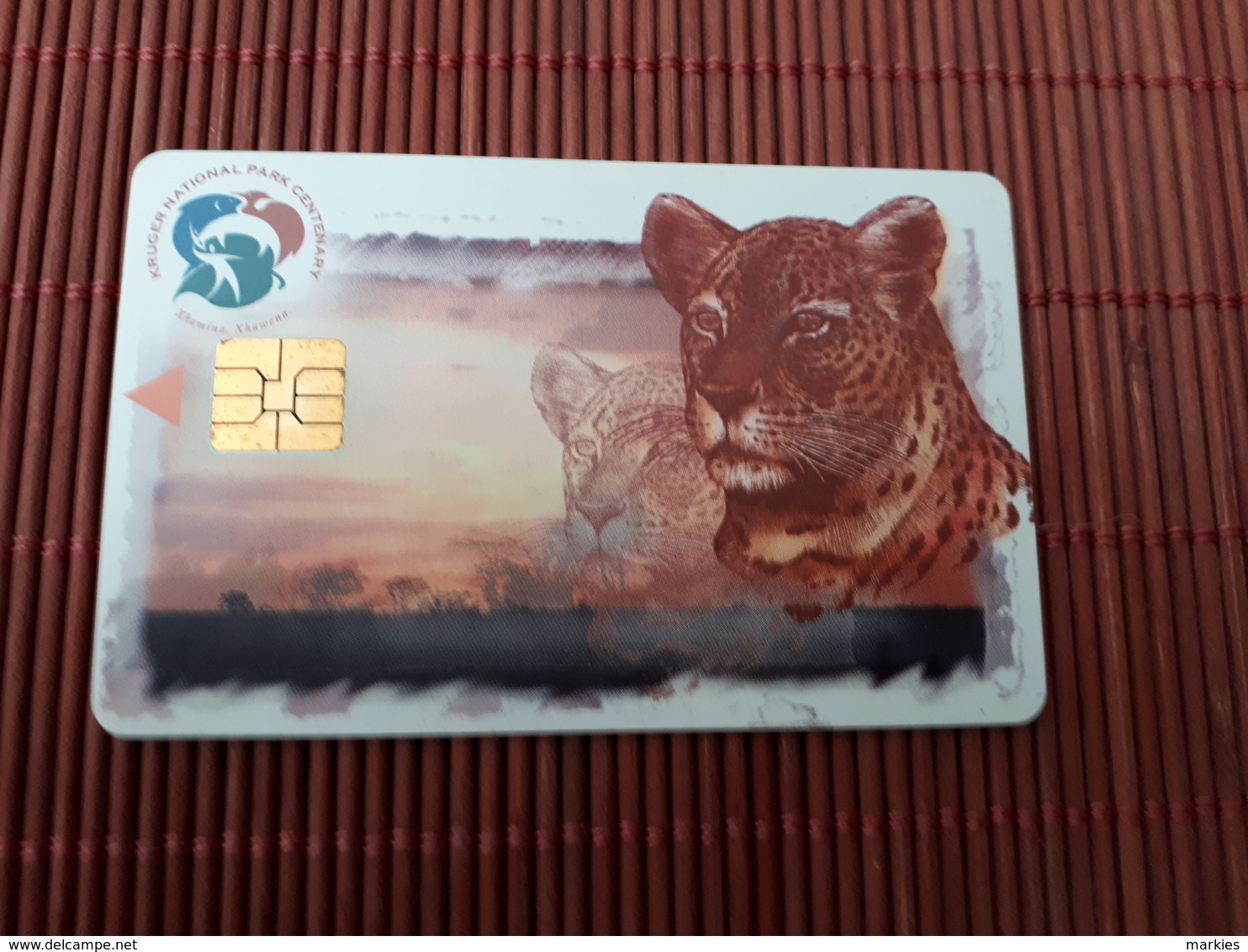 Phonecard South Africa Leopard Used Rare - Sudafrica