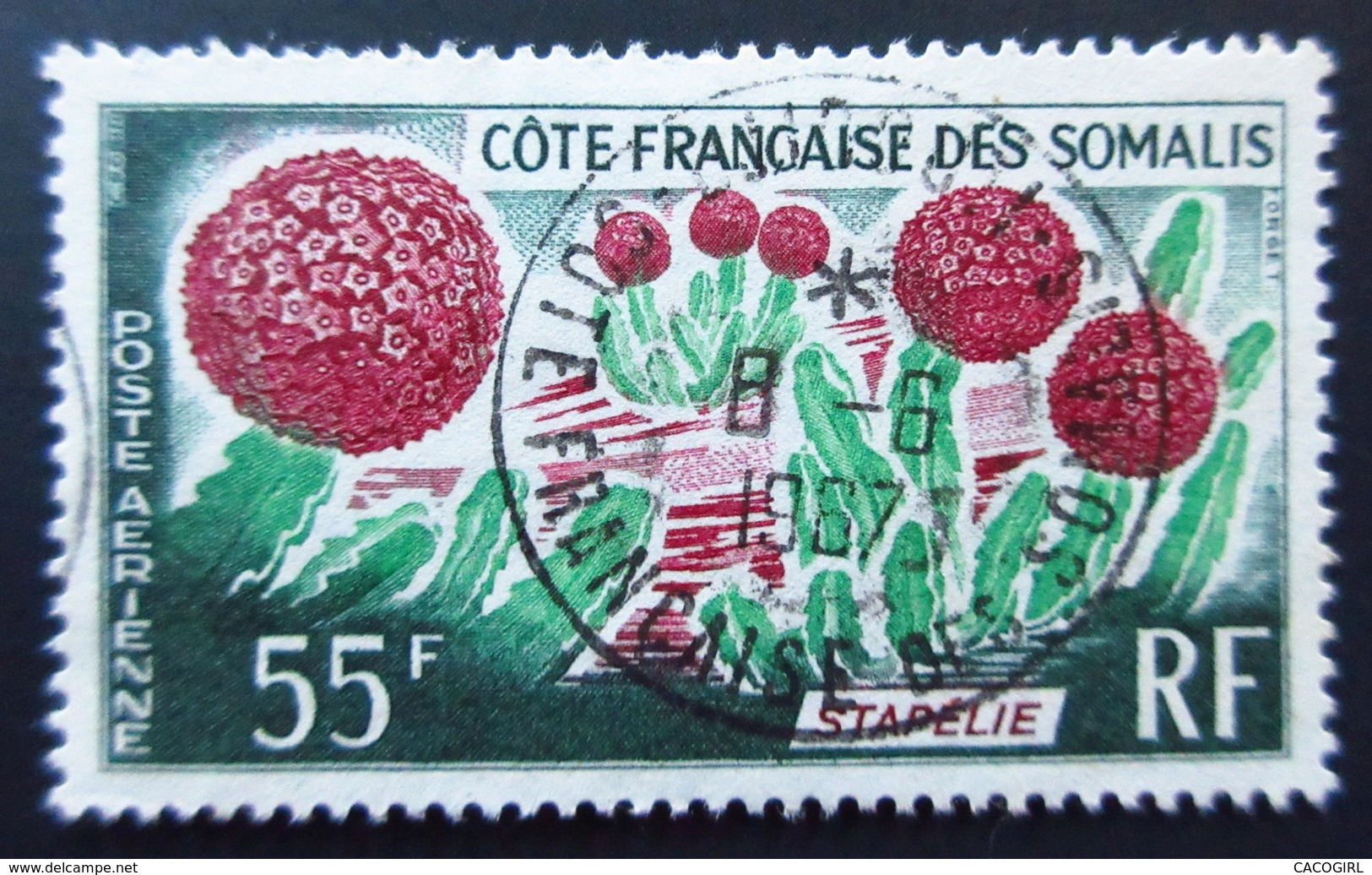 1966 Côte Française Des Somalis Yt PA47 Cactus. Stapel . Oblitération 1967 - Usati