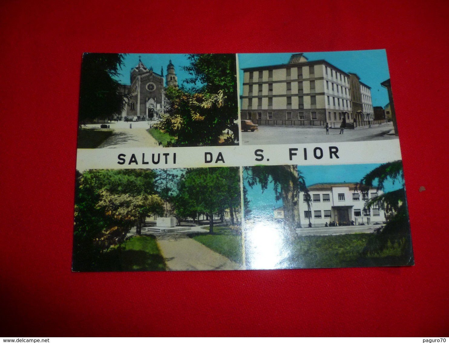 Saluti Da S.Fior  Treviso Veneto - Treviso