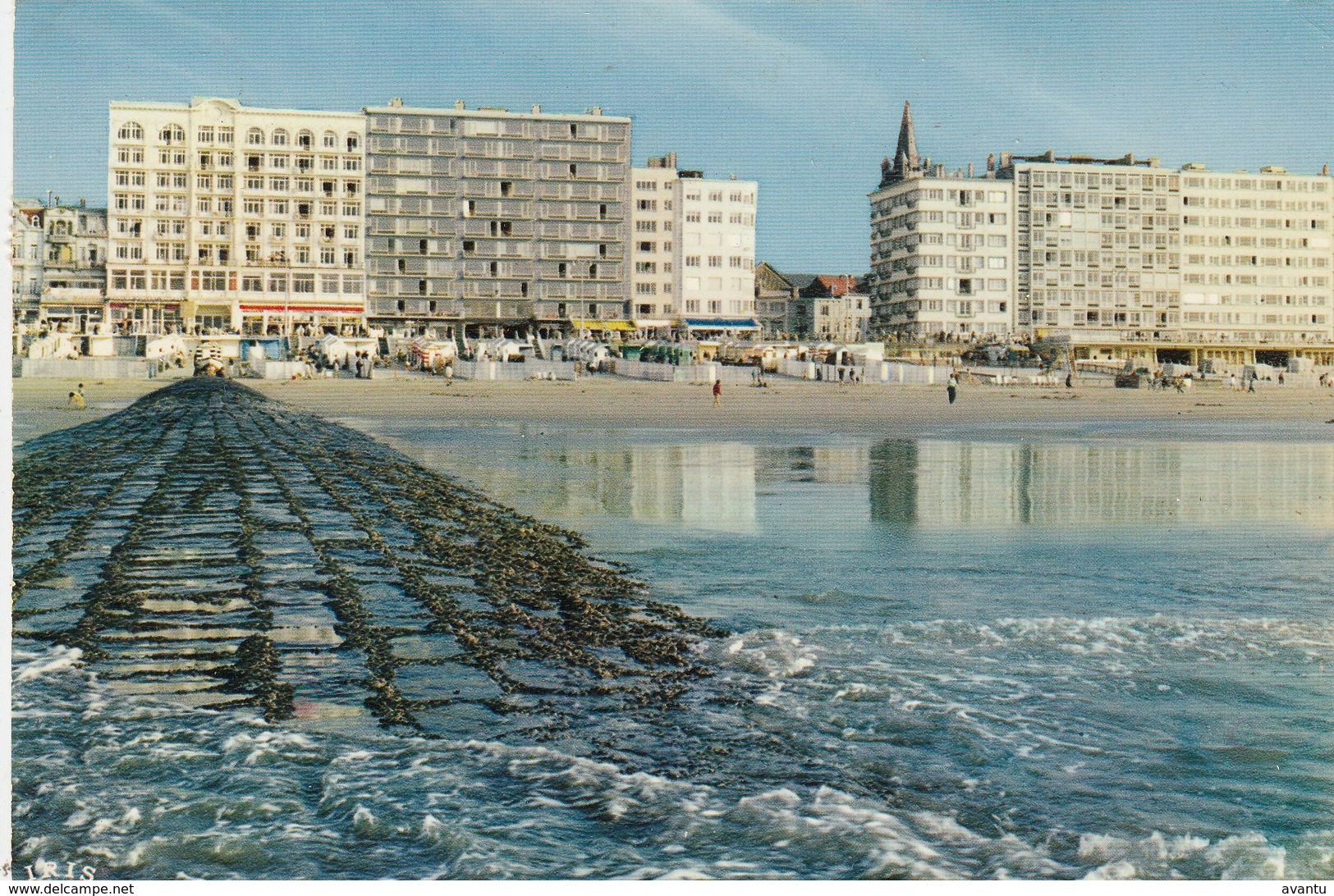 BLANKENBERGE / ZEEDIJK - Blankenberge