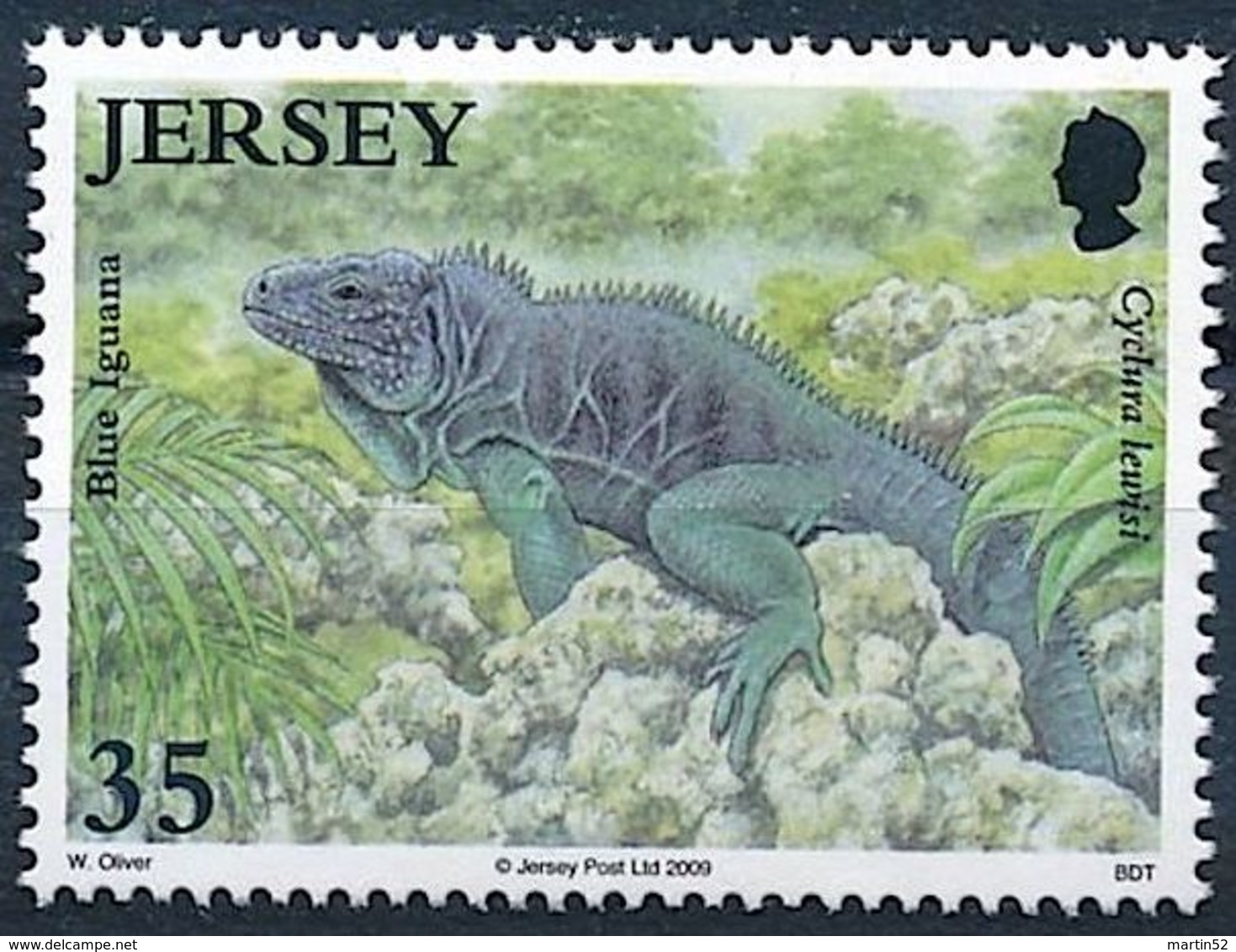 Jersey 2009: "Blue Iguana" (Cyclura Lewisi) Michel-No. 1398 ** MNH - Other & Unclassified