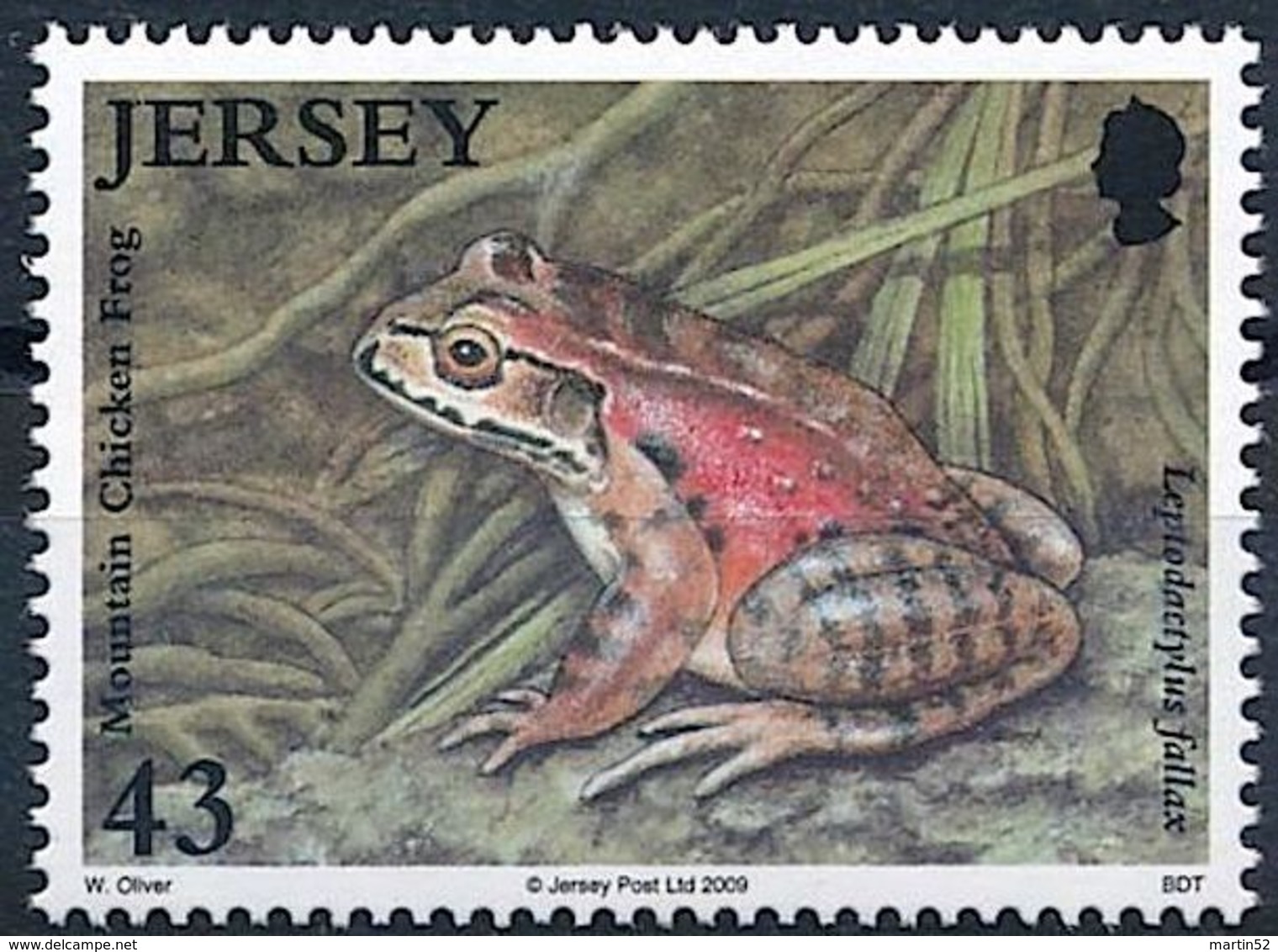 Jersey 2009: Mountain Chicken Frog (Leptodactylus Fallax) Michel-No.1400 ** MNH - Frogs