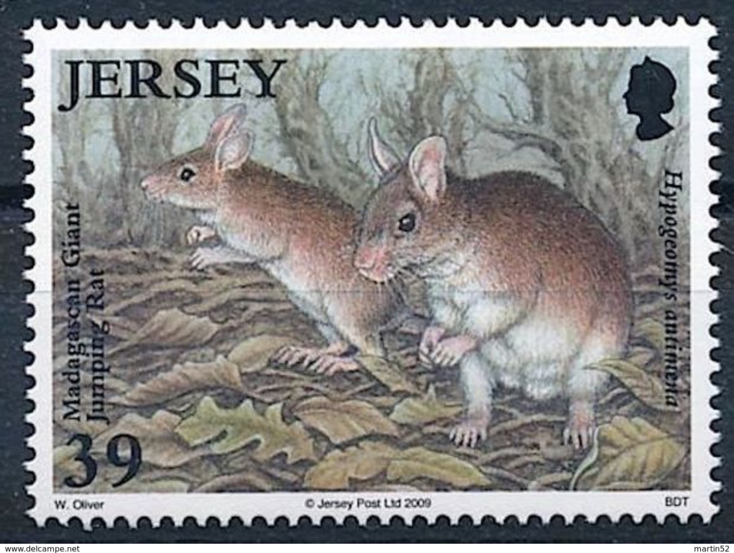 Jersey 2009: Malagasy Giant Rat (Hypogeomys Antimena) Michel-No.1400 ** MNH - START BELOW POSTAL FACE VALUE (£ 0.39) - Rodents