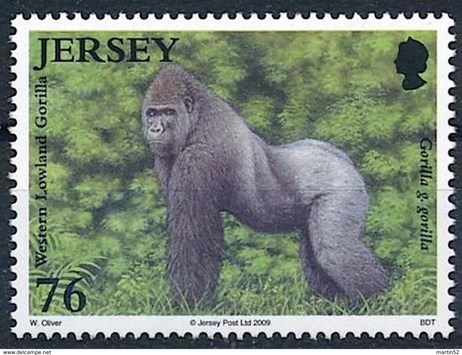 Jersey 2009: Western Lowland Gorilla (Gorilla G. Gorilla) Michel-No.1403 ** MNH  START BELOW POSTAL FACE VALUE (£ 0.76) - Monkeys