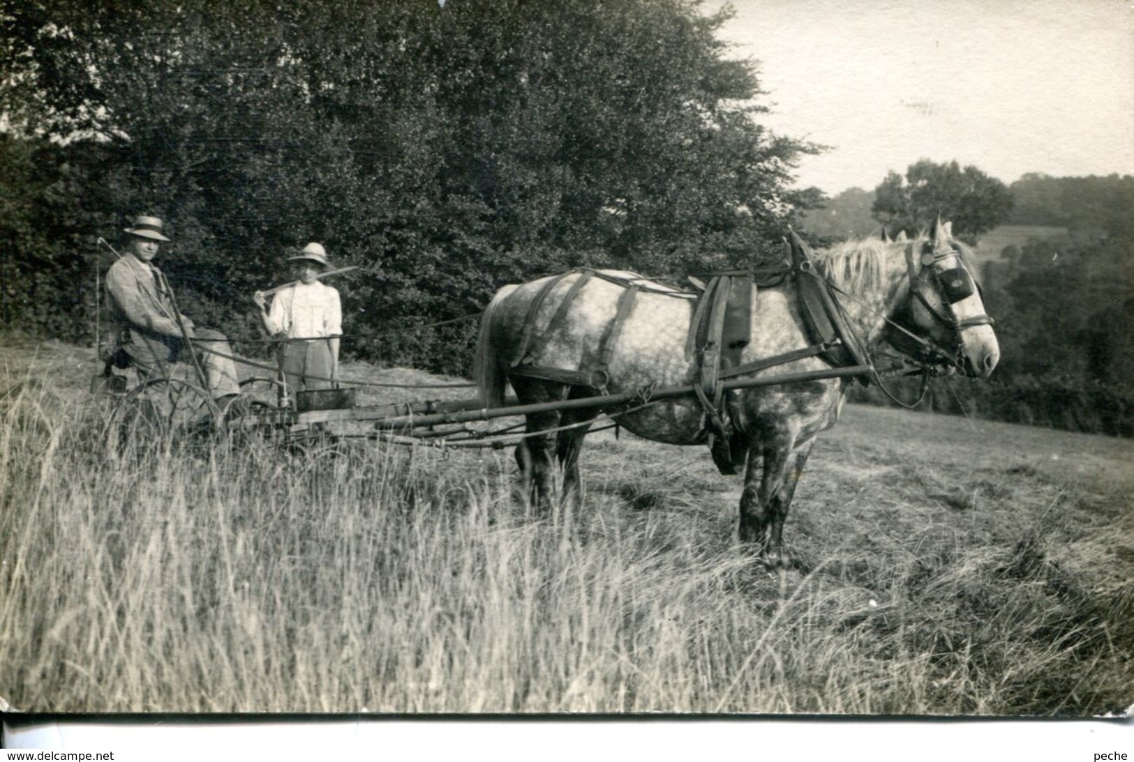 N°70086 -carte Photo Attelage Cheval Et Engin Agricole - Attelages