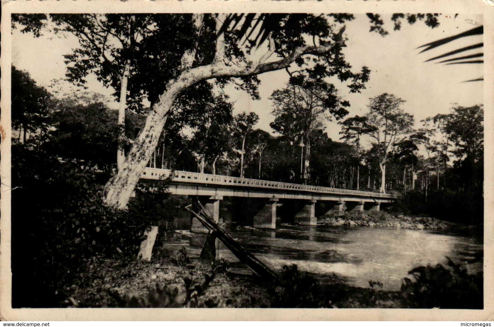 BANGUI - Pont Sur L'M'Poko - En L'état - Centrafricaine (République)