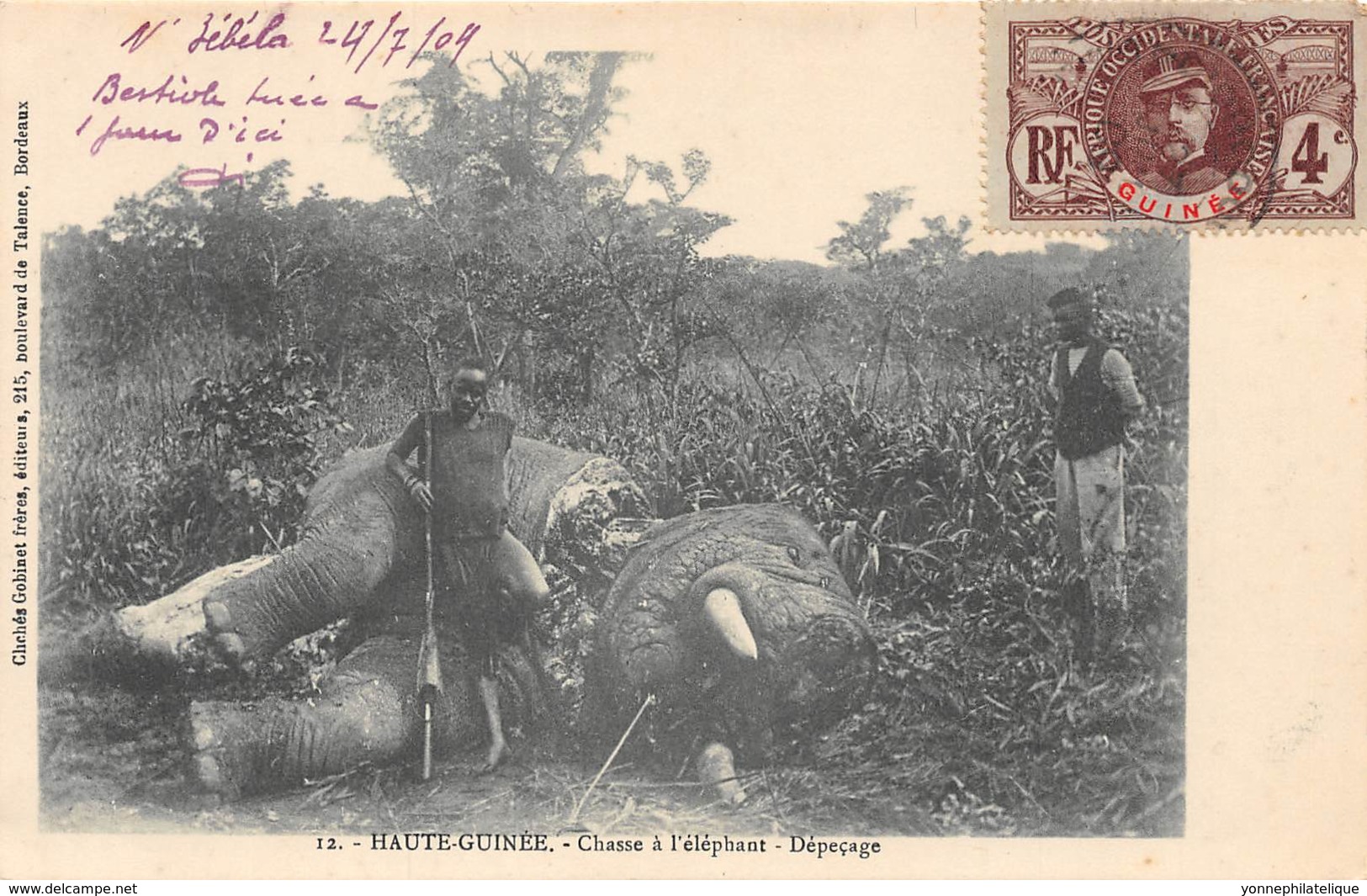 Guinée  Française / Ethnic - 50 - Chasse à L'éléphant - Dépeçage - Guinea Francesa