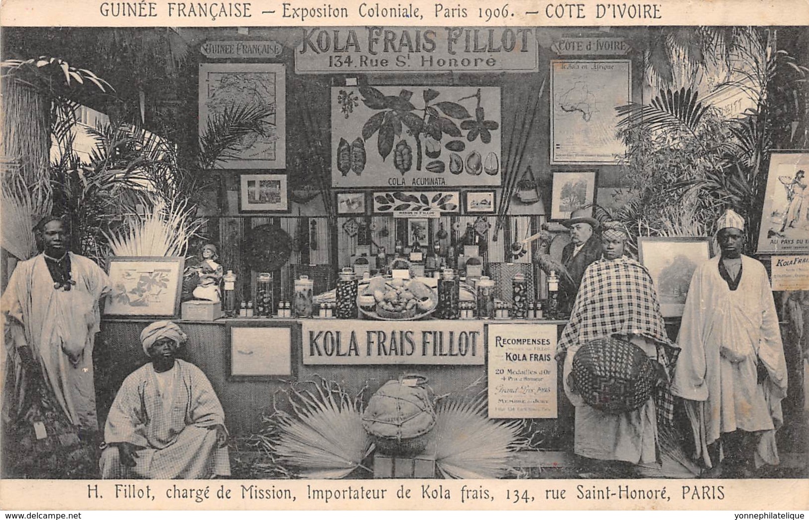 Guinée  Française / Topo - 156 - Exposition Coloniale Paris 1906 - Kola Frais - Guinée Française