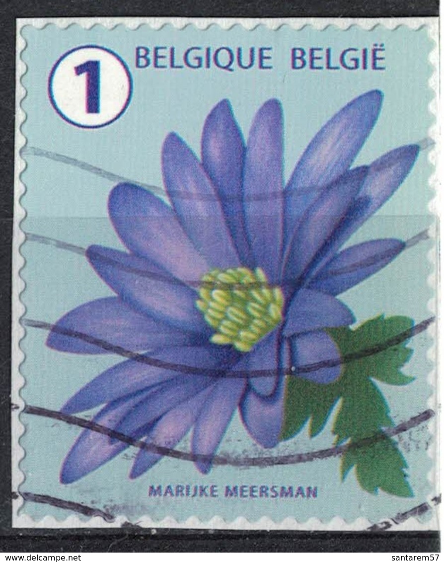 Belgique 2016 Oblitéré Used Flower Fleur Anémone SU - Oblitérés