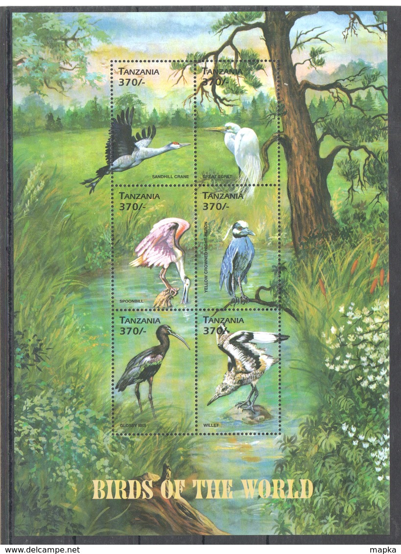 X812 TANZANIA FAUNA BIRDS OF THE WORLD 1KB MNH - Sonstige & Ohne Zuordnung