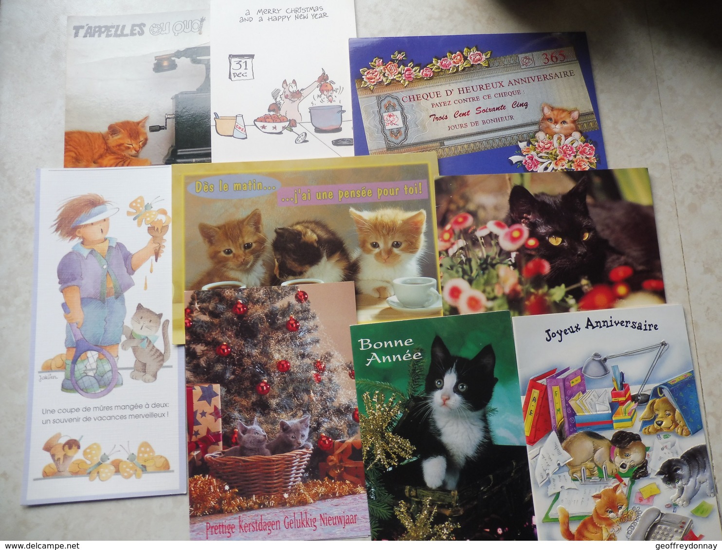 Gros Lot Chats Tous Différents 24  / Cats / Jackpot Katten Allemaal Anders - Disneyland