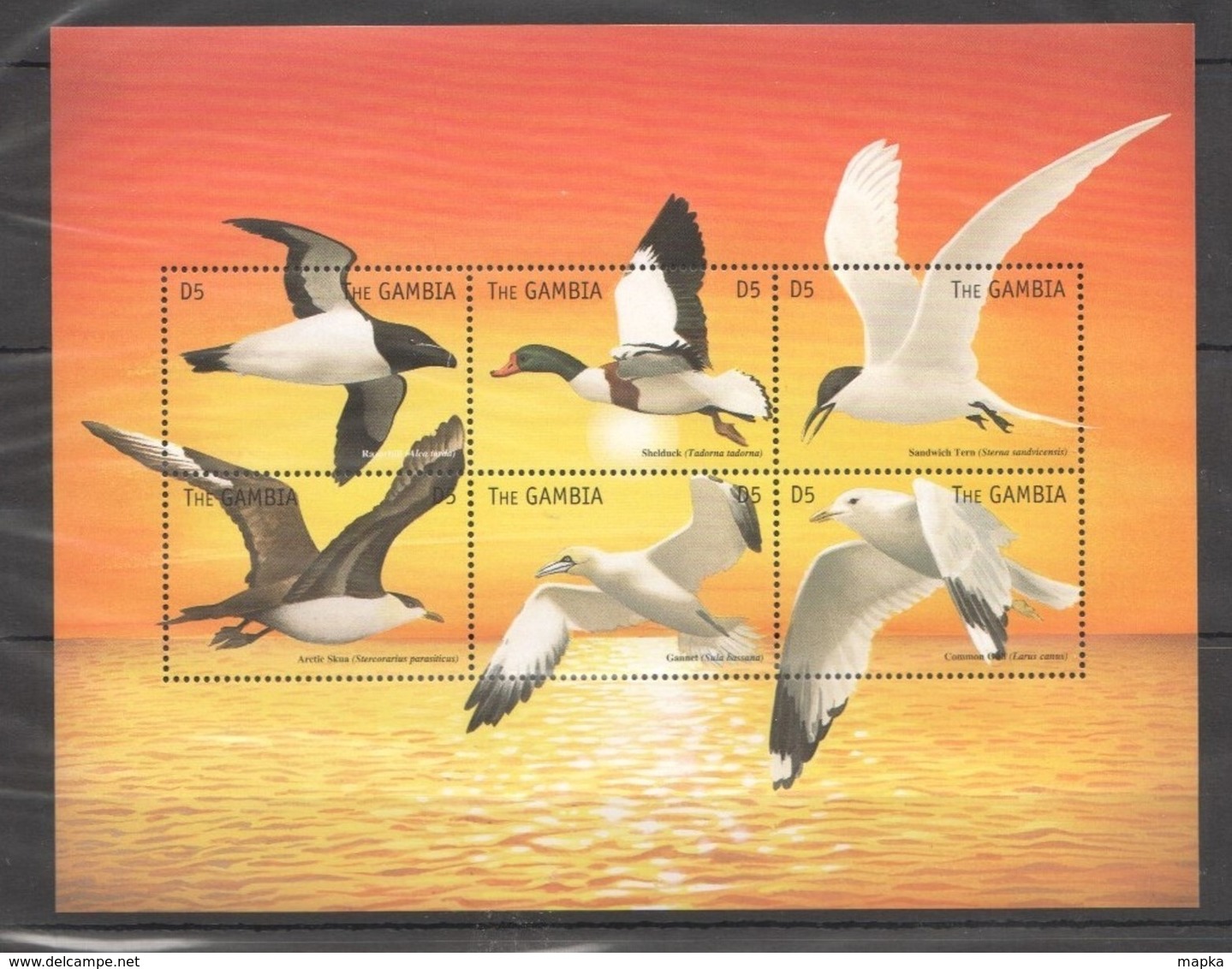 X836 GAMBIA FAUNA BIRDS 1KB MNH - Sonstige & Ohne Zuordnung