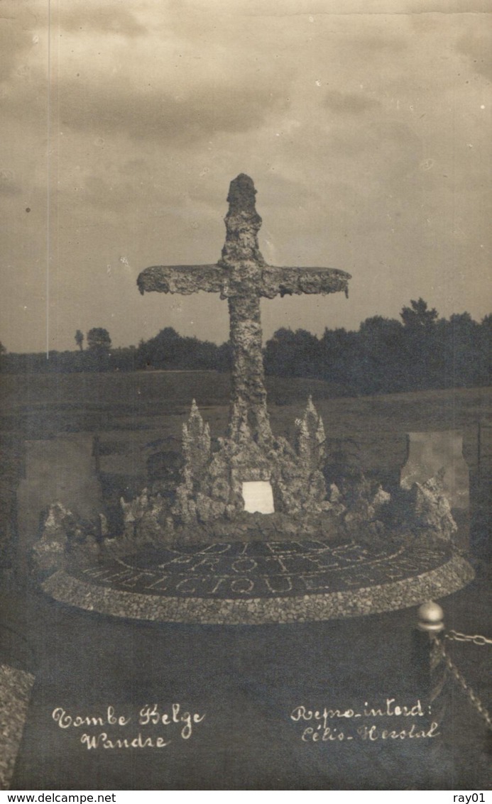 BELGIQUE - LIEGE - WANDRE - Tombe Belge, 1915. (carte Photo). - Liege