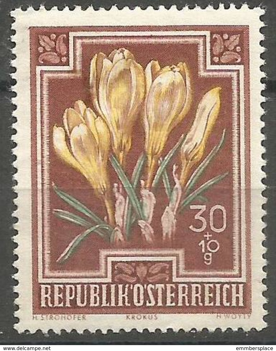 Austria - 1948 Crocus MH * - Unused Stamps