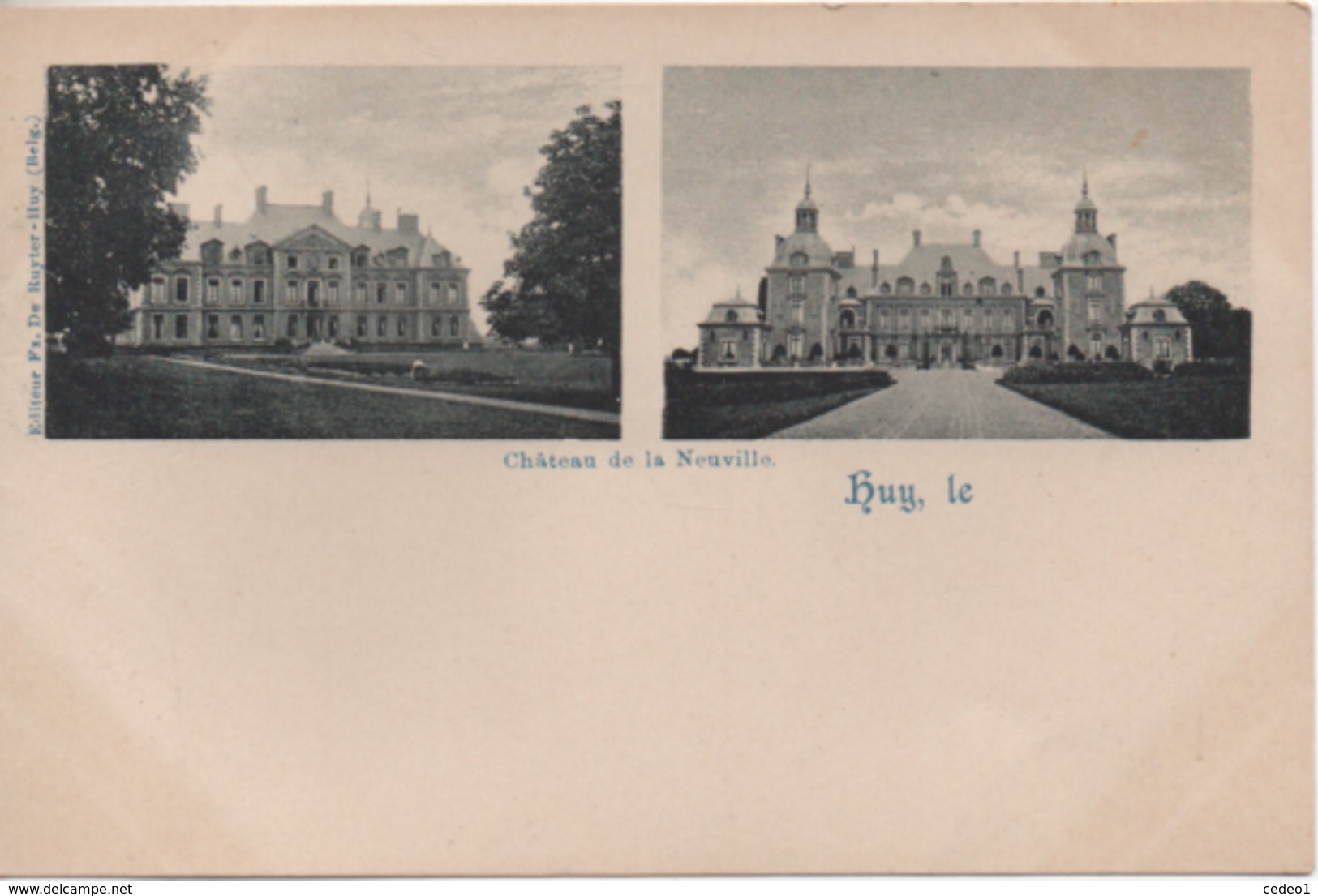 HUY  CHATEAU DE LA NEUVILLE - Huy