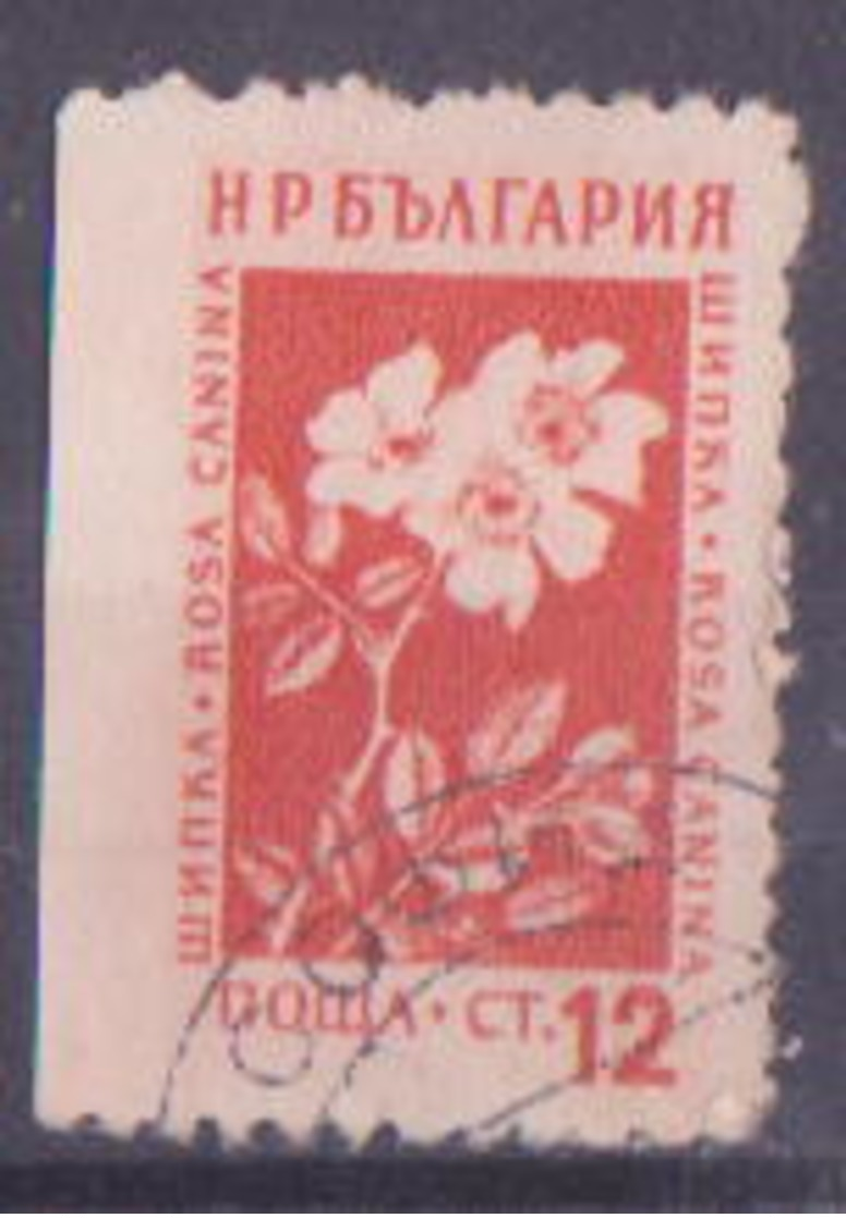 69-032 / BG - 1953  PLANTS    Mi 875 O  Left Side Imperforated ! - Abarten Und Kuriositäten