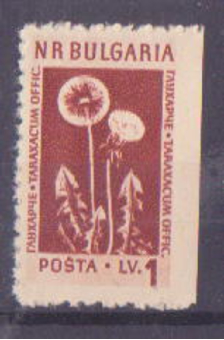 69-033 / BG - 1953  PLANTS    Mi 885 O  Right Side Imperforated ! - Abarten Und Kuriositäten