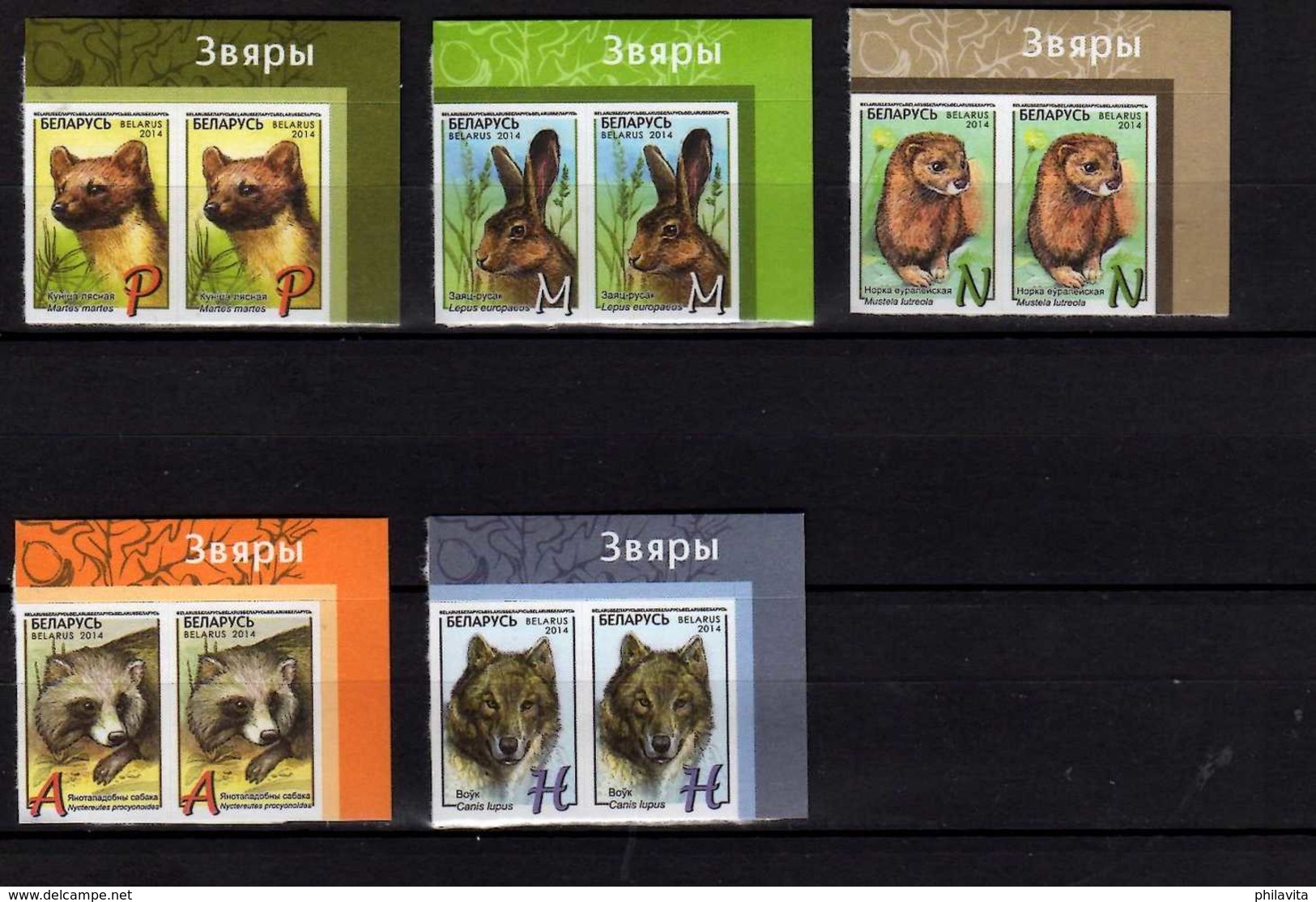 2014 Belarus -15th Standart Sets Wild Animals X2   Wolf, Hire, Badge, Bottom Right Corner - S.adhesive - MNH** - Belarus