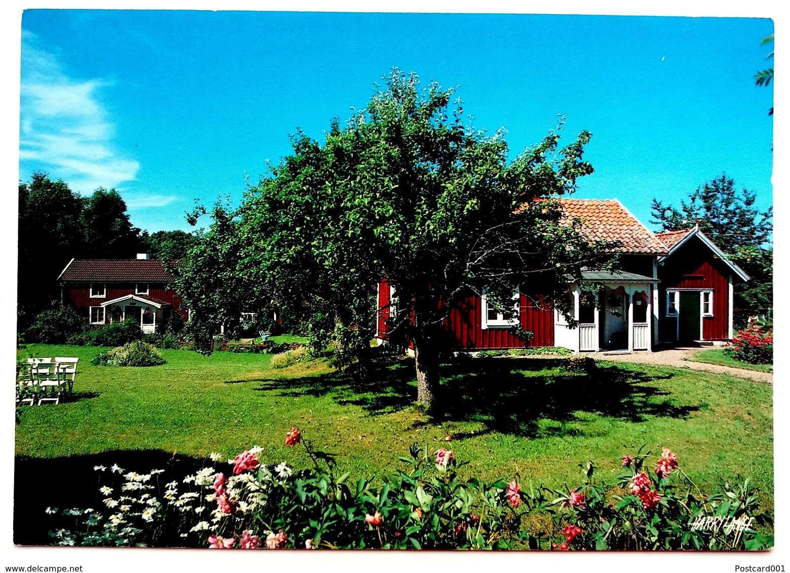 #425  Swedish Nature, Landscape - SWEDEN - Postcard - Suède