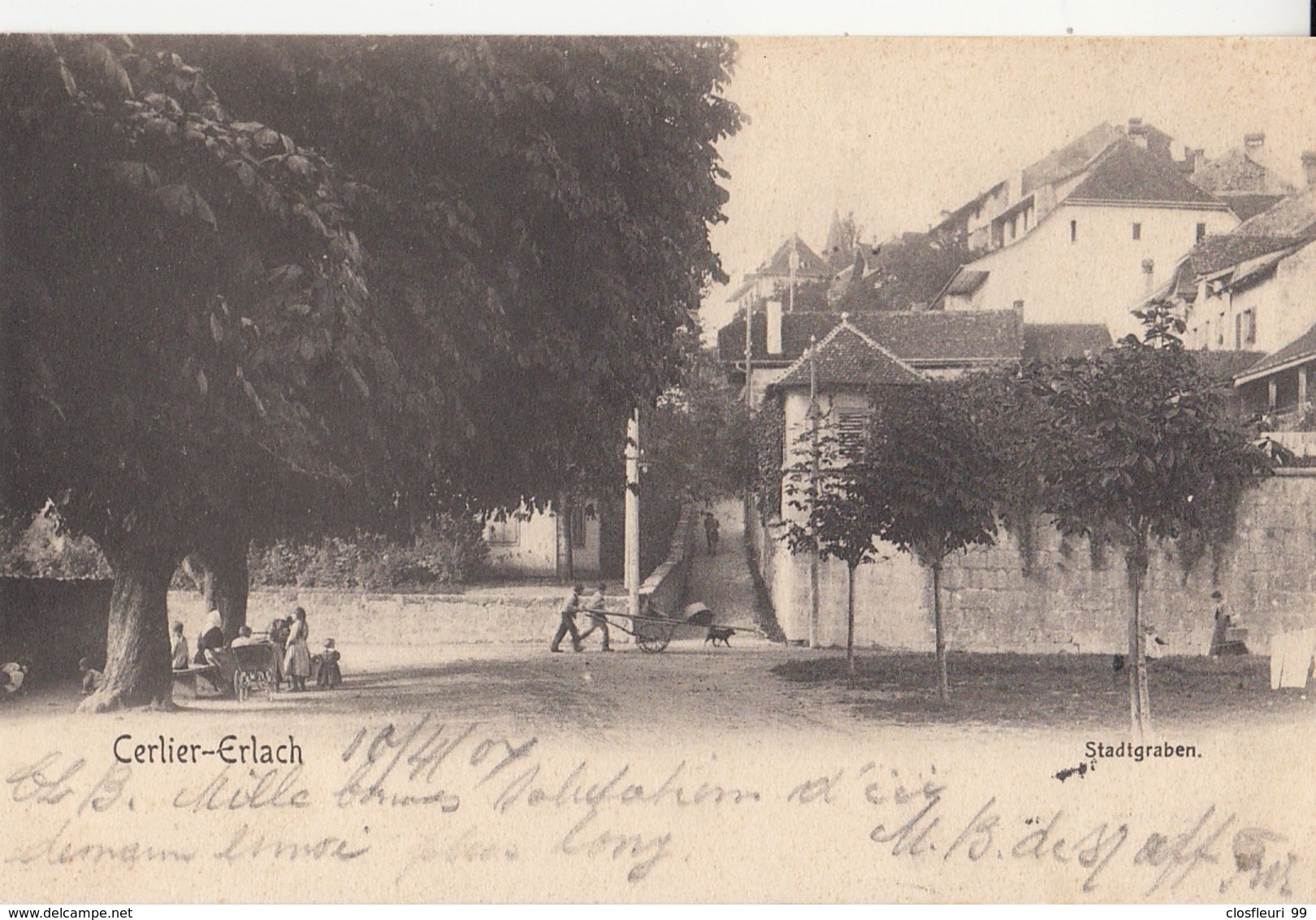 Erlach - Cerlier  Stadtgraben, 11.4.1904, Belebte & Tolle Karte - Cerlier