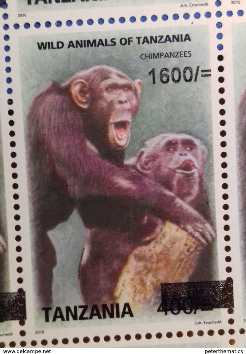 TANZANIA, 2018,MNH, PRIMATES,CHIMPANZEES, 1v,OVERPRINT - Schimpansen