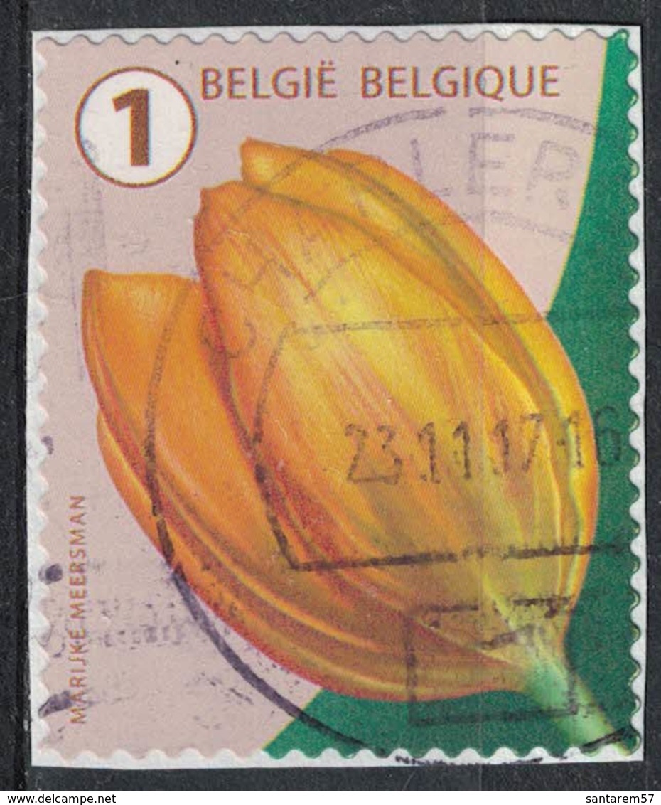 Belgique 2016 Oblitéré Used Flower Fleur Tulip Tulipe SU - Oblitérés