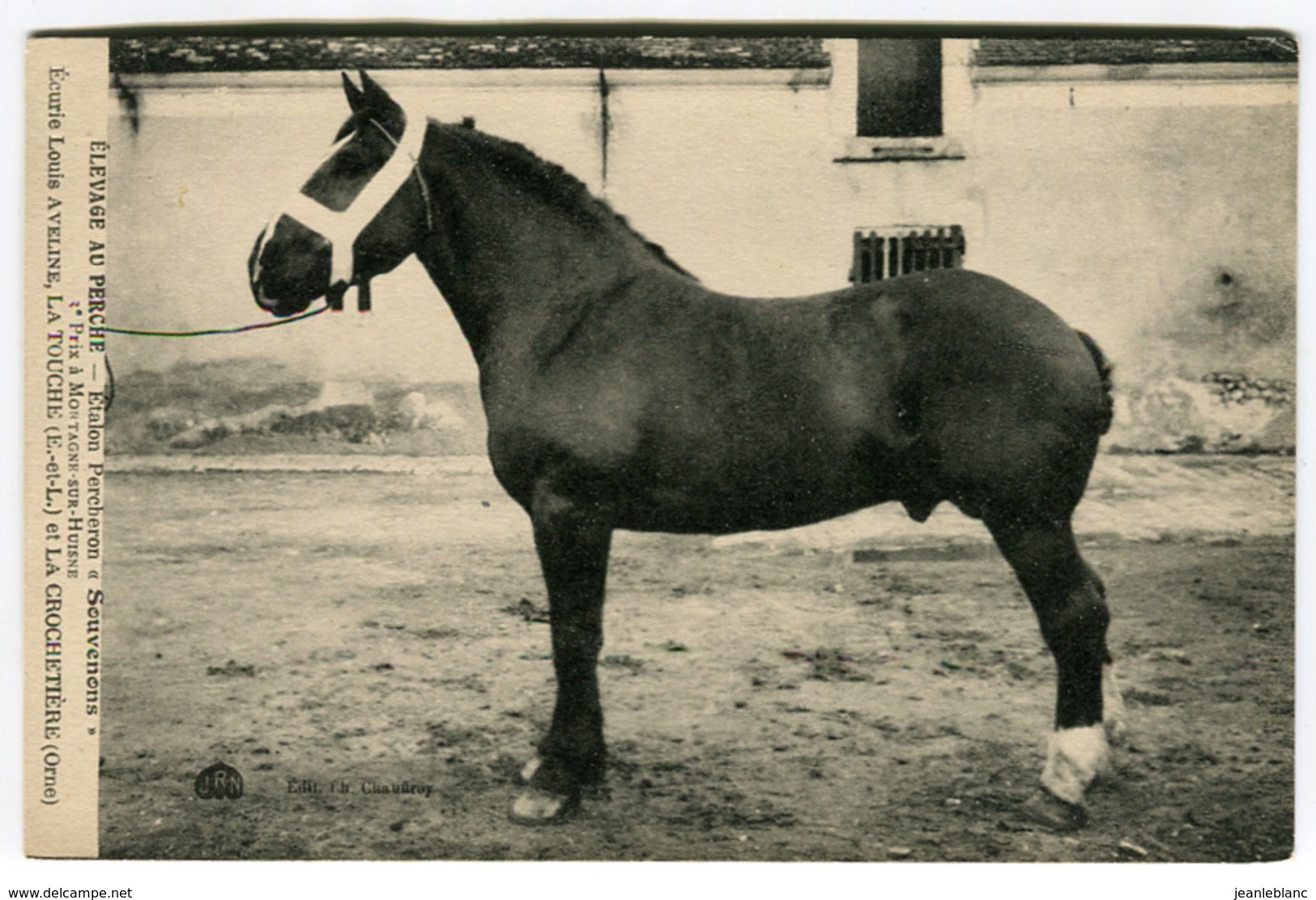 28- NOGENT LE ROTROU & 61- VERRIERES - Elevage Louis Aveline - SOUVENONS Etalon Percheron - Nogent Le Rotrou