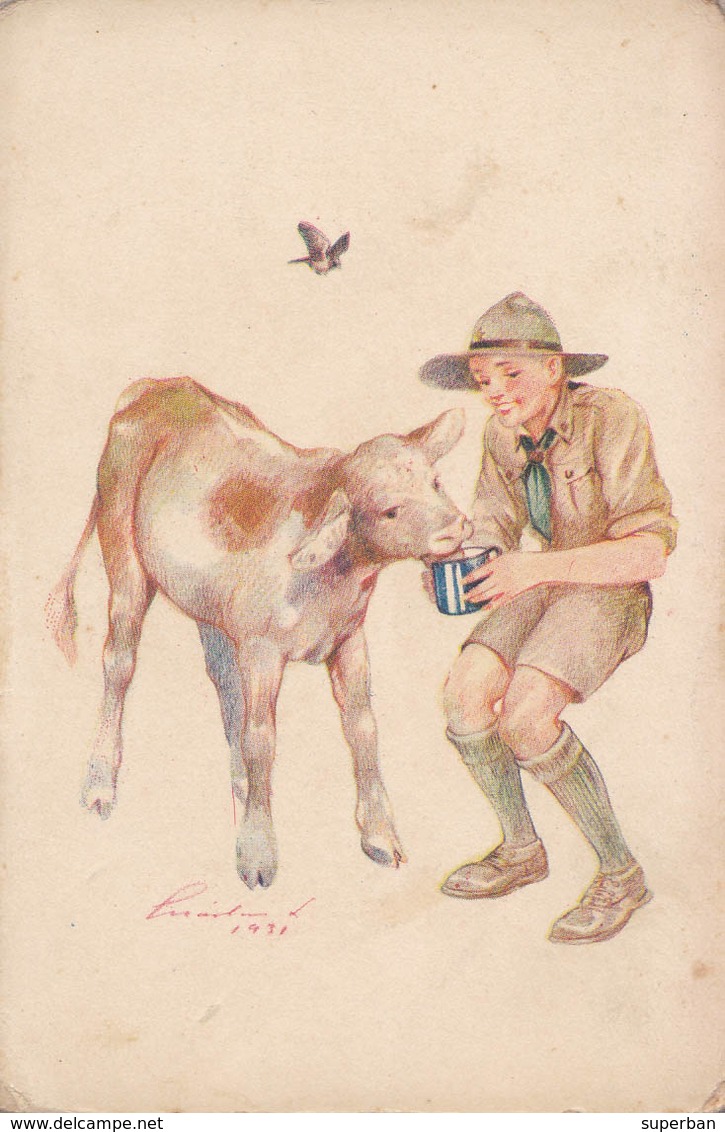 SCOUT / ÉCLAIREUR NOURRISSANT Un VEAU / BOY SCOUT FEEDING A CALF ~ 1931 - '35 (aa277) - Scoutismo