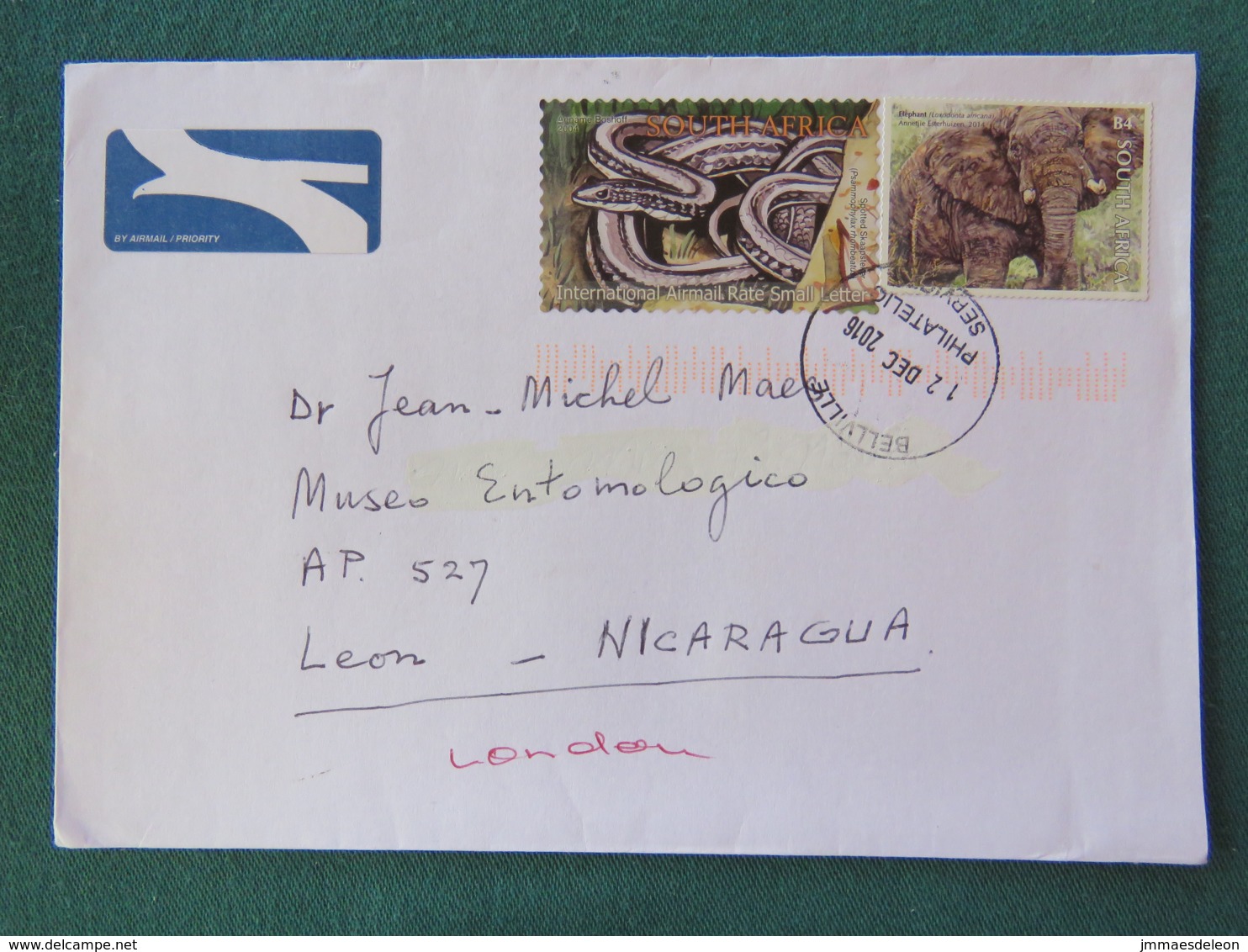 South Africa 2016 Cover To Nicaragua - Animals Snake Elephant - Lettres & Documents